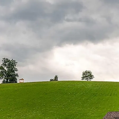 Near Area In Grobming